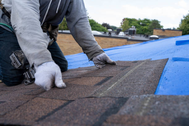 Roof Insulation in Linda, CA